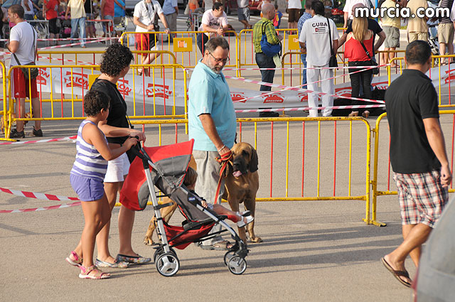 Concurso canino Fiestas de Santiago 2009 - 89